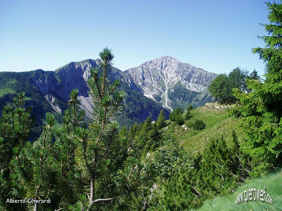 03 Tra dolomie e orti botanici.JPG - 03 Tra dolomie e orti botanici